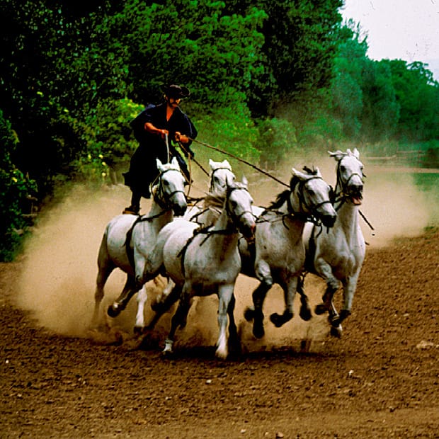 From Budapest: Puszta Horse Show and Countryside Visit - Lajosmizse brings the Puszta traditions to life