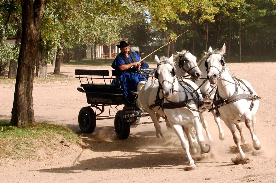 From Budapest: Puszta Horse Show and Countryside Visit - The ride back makes this a full-day outing