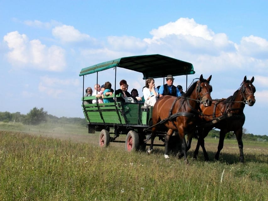 From Budapest: Puszta Horse Show and Countryside Visit - The important question: how are the animals treated?