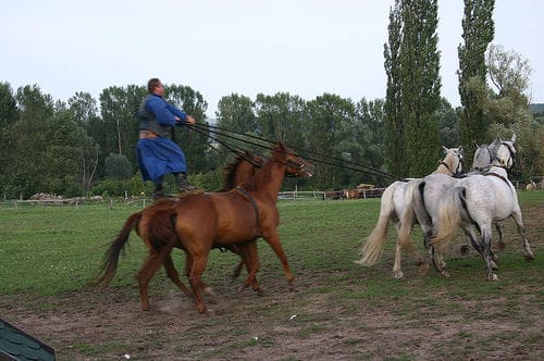 From Budapest: Puszta Horse Show and Countryside Visit - Kecskemét gives the day a graceful first stop