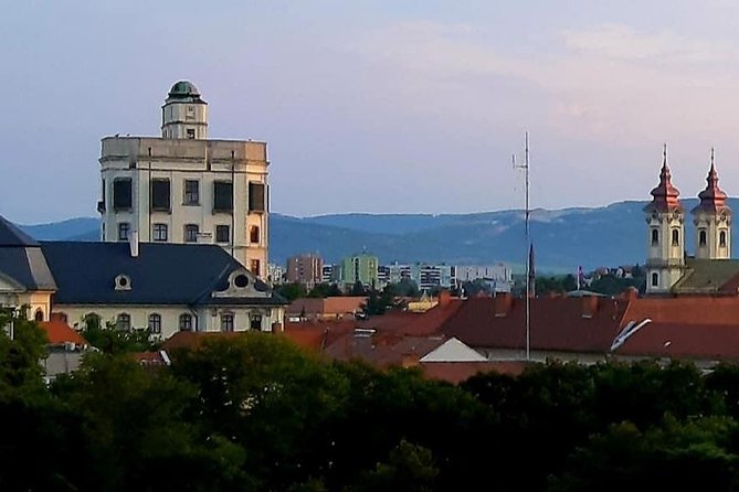 Home to Bull's Blood red wine! Eger with winetaste private tour - Dobo Square and the heart of the town