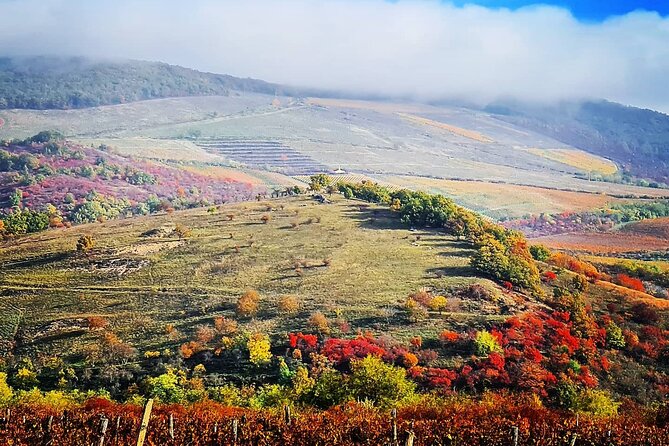 Home to Bull's Blood red wine! Eger with winetaste private tour - The Valley of Beautiful Women and five local wines