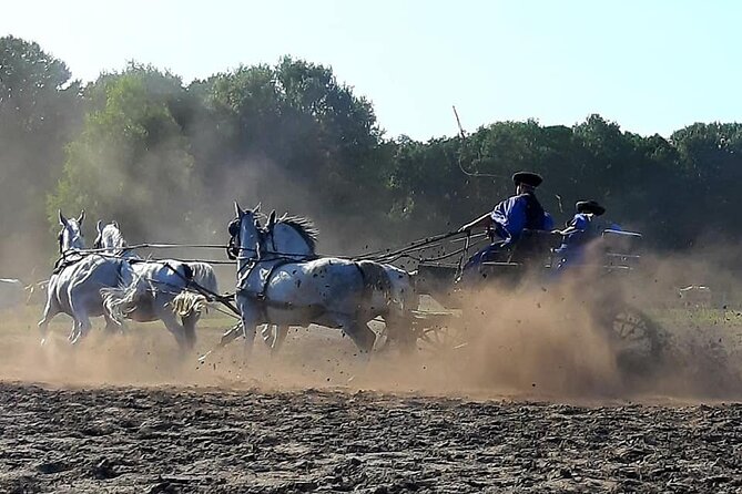 Horseshow on the Hungarian Puszta, private tour from Budapest with entry! - The carriage ride and stable visit
