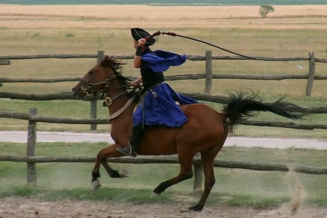 Horseshow on the Hungarian Puszta, private tour from Budapest with entry! - The horsemen, carriages, and comic donkey act