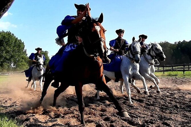Horseshow on the Hungarian Puszta, private tour from Budapest with entry! - Hungarian lunch and wine after the riding