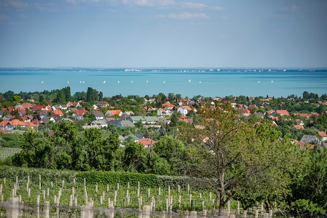 Lake Balaton Full Day Private Wine Tour - Why Lake Balaton makes a good wine day from Budapest
