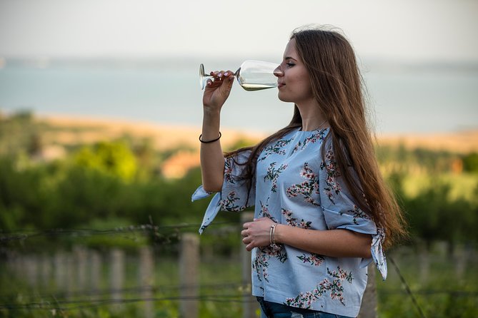Lake Balaton Full Day Private Wine Tour - Lunch and what the included meals mean