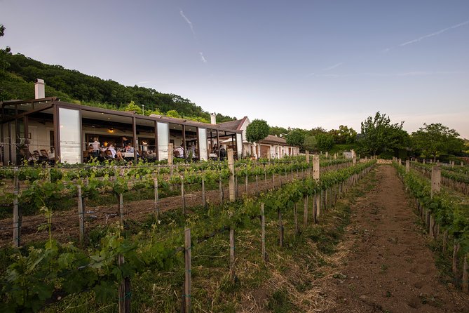 Lake Balaton Full Day Private Wine Tour - Who should book this Lake Balaton day?