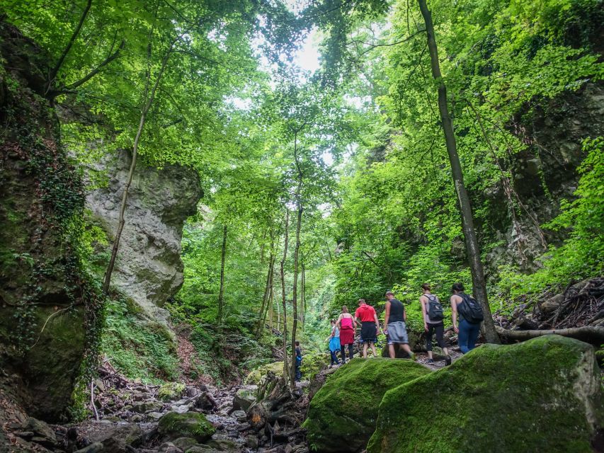 One Day Wonder Hike - The Essence of the Danube Bend - A long downhill through quiet forest