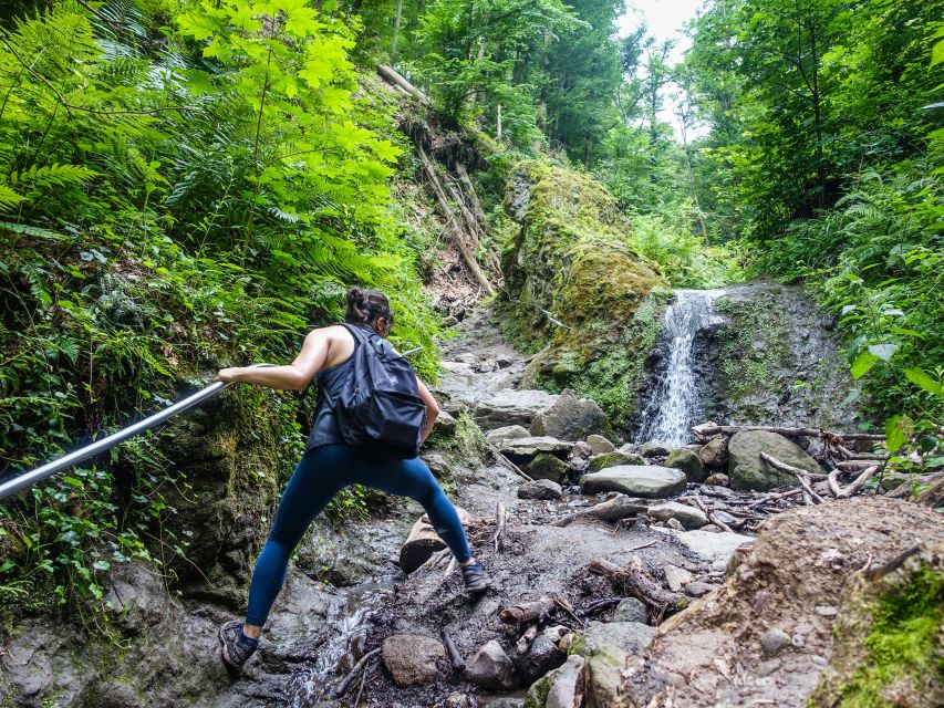 One Day Wonder Hike - The Essence of the Danube Bend - Who should book this Danube Bend hike