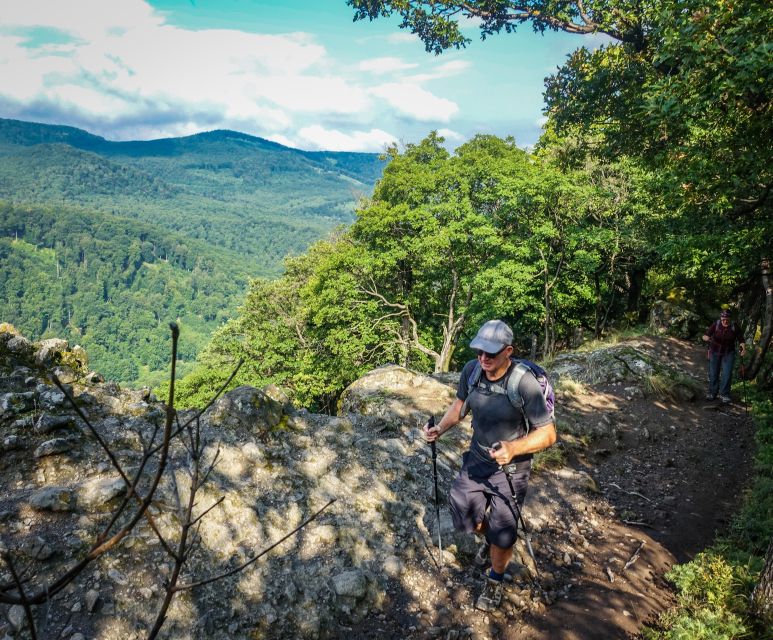 One Day Wonder Hike - The Essence of the Danube Bend - Dömös and the steep climb to the ridge