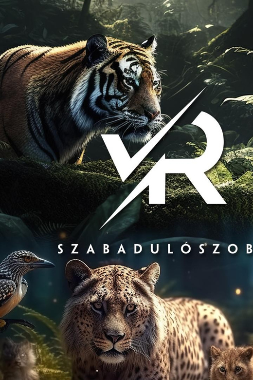 PÁNiQ-SZOBA | VR Escape Rooms by PANiQ ROOM in Budapest - What the 60-minute session is likely to feel like