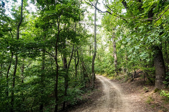 Panoramic hike around Budapest - What the $108.26 price gets you