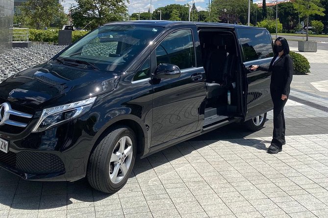 Private 4-hours City Tour of Budapest with private guide and Hotel Pick-up - Why the guide may matter more than the vehicle