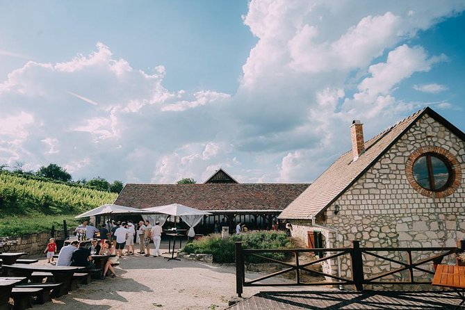 Private Etyek Wine tour with dinner including a Budapest Danube Evening Cruise - Weather, pace, and practical comfort
