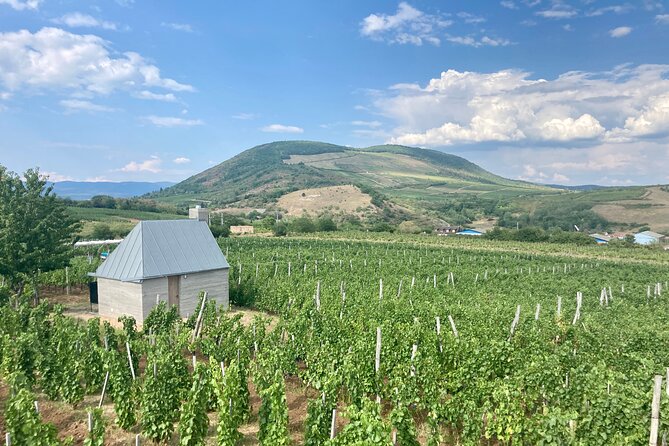 Private Full Day Tour to Eger - History, Culture and Wine - Egerszalók’s Salt Hill and Water Terraces