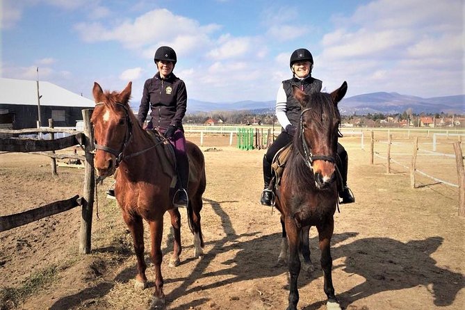 Private Horse Riding near Budapest with transport - Leaving Budapest for the Forests of Dunakeszi