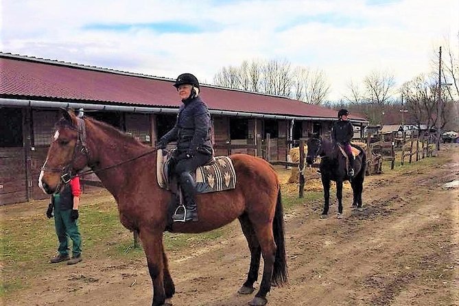 Private Horse Riding near Budapest with transport - Meeting Your Horse and Setting the Pace