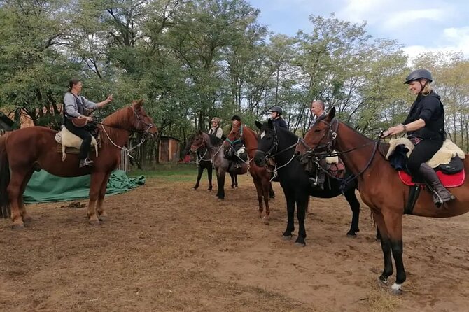 Private Horse Riding near Budapest with transport - Booking Details You Should Not Miss