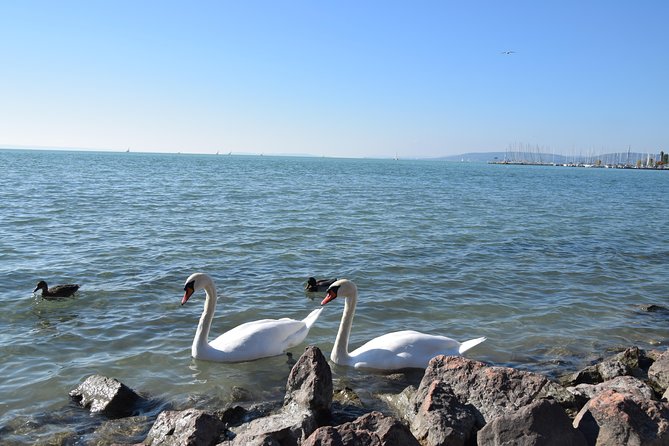 Private Lake Balaton Experience with an unforgettable Wine Tasting - How Flexible Is the Tailor-Made Route?
