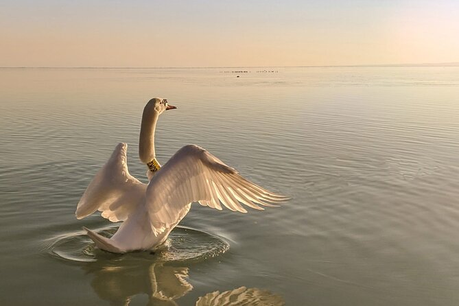 Private tour from Budapest to a top hidden treasure region of Europe: Lake Balaton - Crossing Lake Balaton by ferry