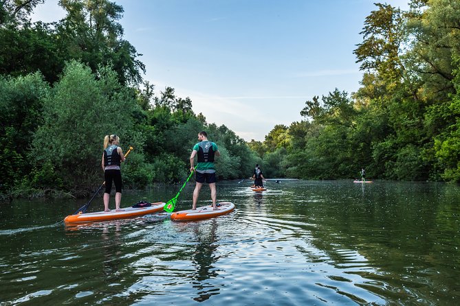 SUP Budapest: Sunset tour - From Római part into the open Danube