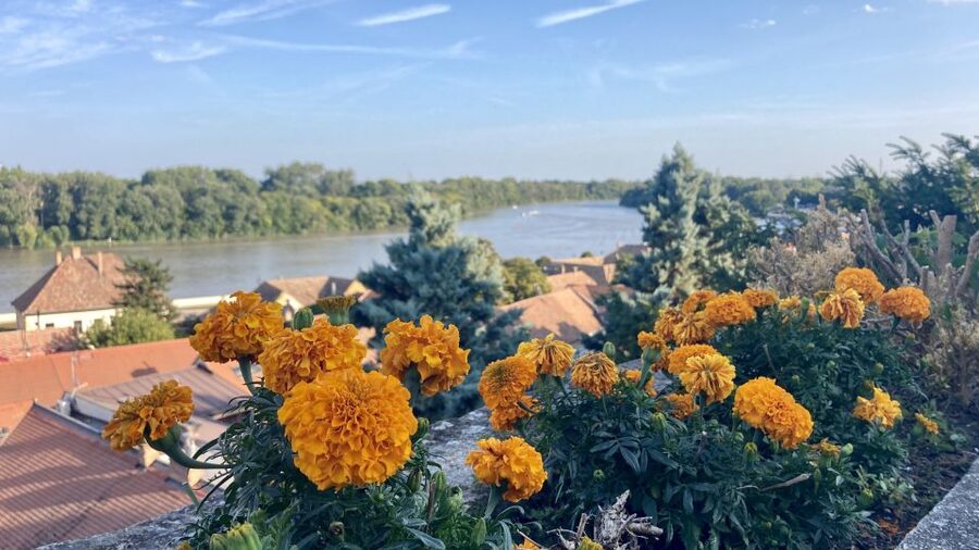 Szentendre: Arts and Cafés Tour (Half-Day Private Tour) - Churches, Galleries, and the Town’s Artistic Side