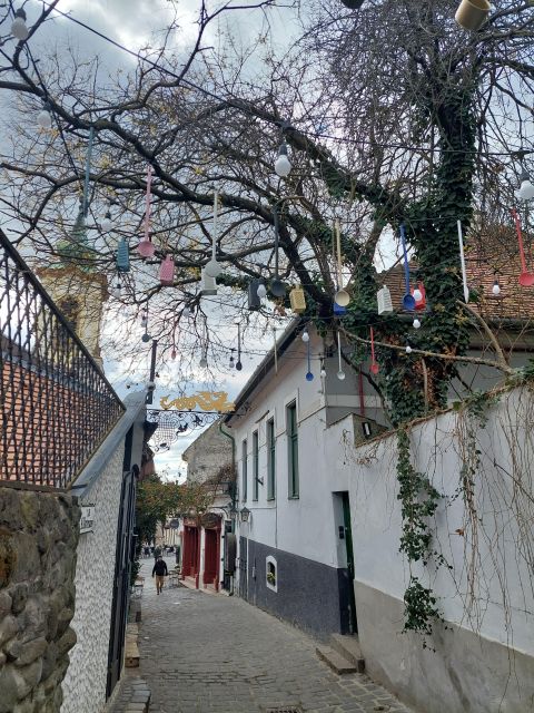 Szentendre: Half-Day Private Tour from Budapest - Walking Szentendre’s Baroque Core