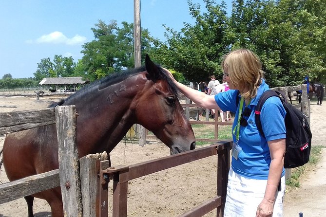 The "Puszta" Horse Show - A Hungarian lunch with drinks included