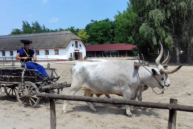 The "Puszta" Horse Show - Meeting point, timing, and practical planning