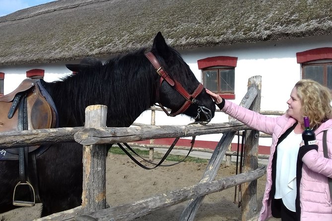 The "Puszta" Horse Show - One hour in Kecskemét