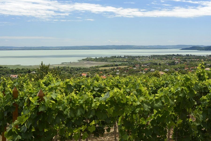 The Turquoise Sea of Hungary: Lake Balaton Private Tour - Tihany Peninsula, Protected by Nature