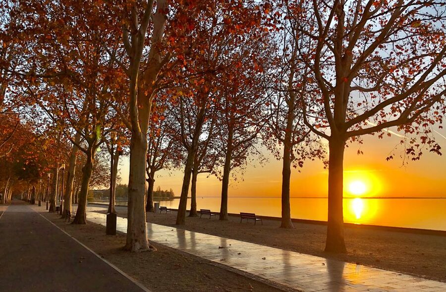 The Turquoise Sea of Hungary: Lake Balaton Private Tour - The Ten-Minute Ferry Across the Lake
