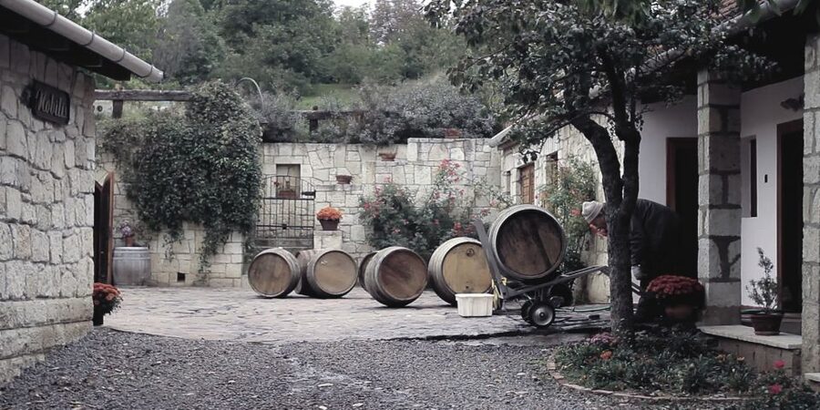 Tokaj Private Day Tour from Budapest - Entering a Tokaj cellar