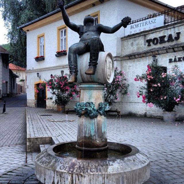 Tokaj Private Day Tour from Budapest - Tasting four wines with regional snacks