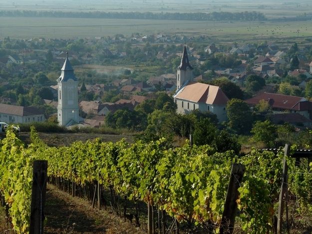 Tokaj Private Day Tour from Budapest - The long road from Budapest to the wine country