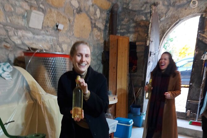 Wine Tasting in the Countryside from Budapest - Sausages, cheese, olives, and bread