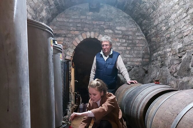 Wine Tasting in the Countryside from Budapest - Is $90 a fair price?