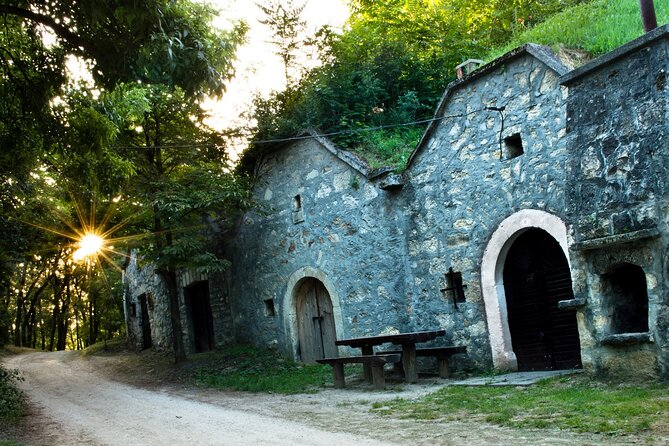 Wine Tasting in the Countryside from Budapest - Wine tasting with Miki’s local perspective